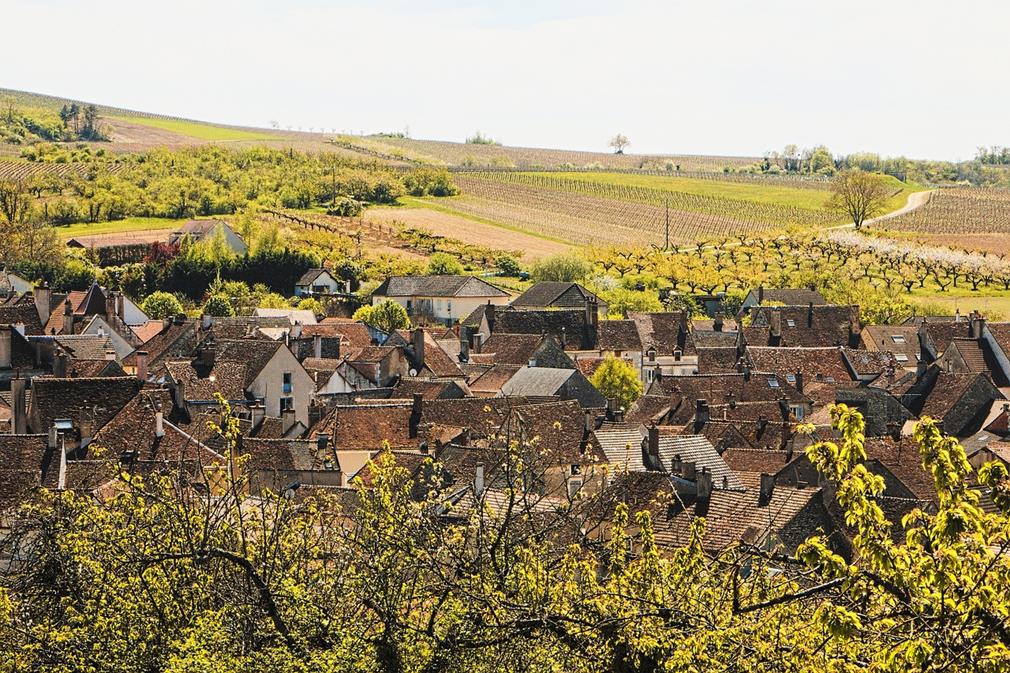 Un village en Bourgogne: on distingue juste les toits de briques des maisons, entourés de champs et de vignes alternés. Arbres au premier plan, toits de briques puis vignes et territoires agricoles à l'horizon