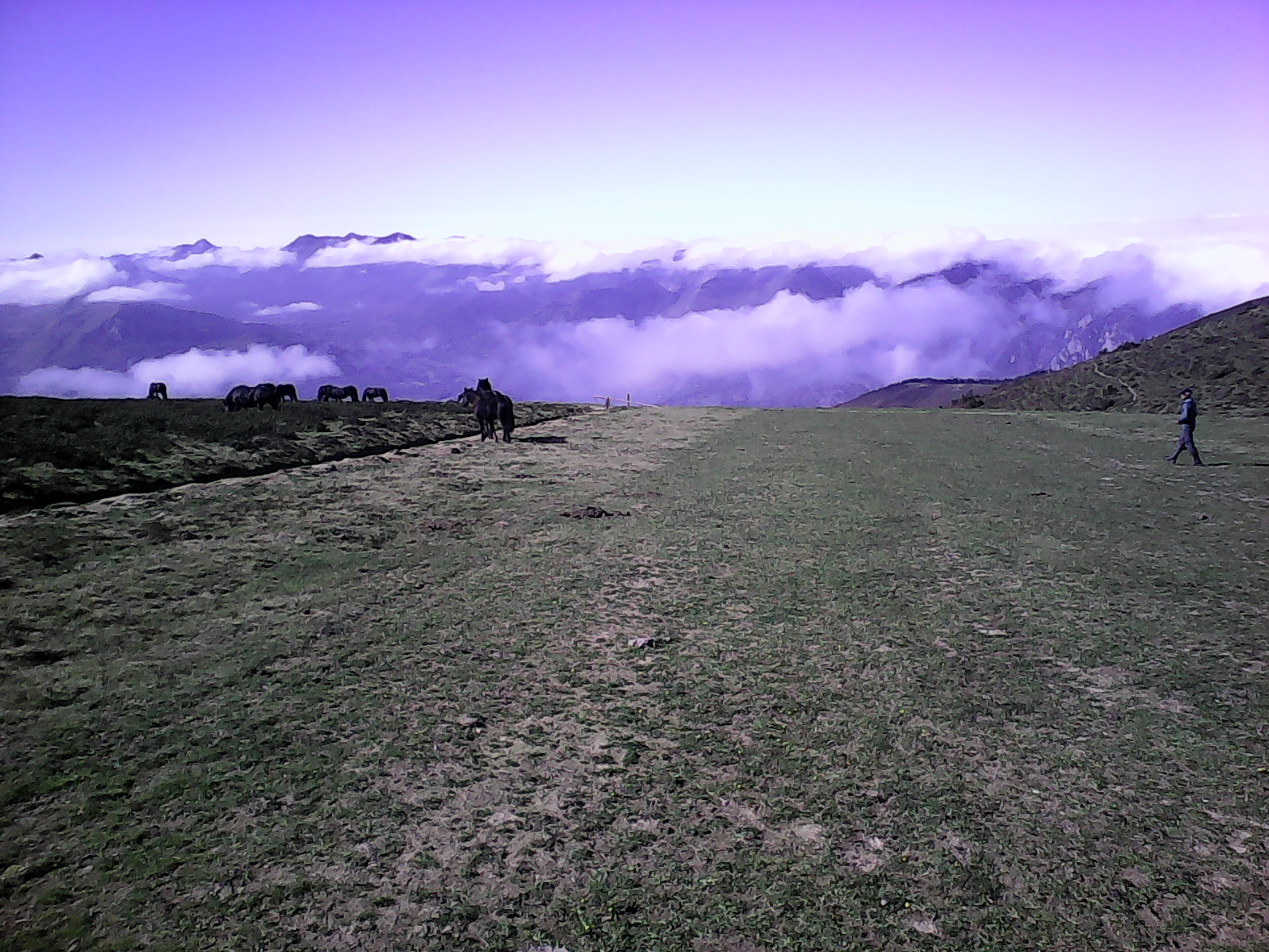 La piste de verdure s'étend jusqu'à l'horizon où elle semble plonger net dans un vide fait de ciel, de monts et de nuages, comme un cratère. A droite, une silhouette équipée pour le vol, à gauche des chevaux broutent tranquillement.