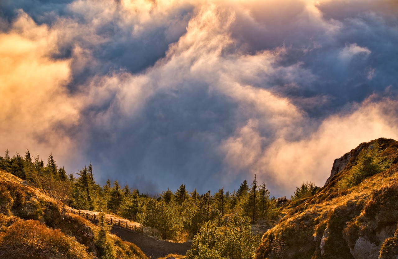 Un paysage de Montagne : au premier plan, des vallons piqués d'arbres semblent plonger dans les nuages rosis par le coucher de soleil, formant comme un tourbillon sur la moitié supérieure de l'image.