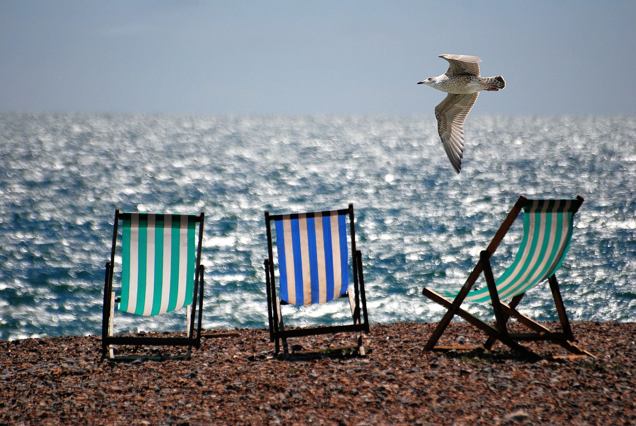 Sur la plage, face à la mer illuminée par le soleil, une mouette survole, très bas, trois chaises longues vides, à rayures et couleurs estivales dirigées vers les vagues. L'arrière-plan est flou, le point est fait sur la mouette comme prise dans un mouvement.
